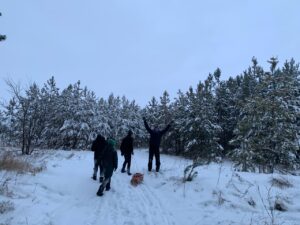 Прогулка в зимний лес