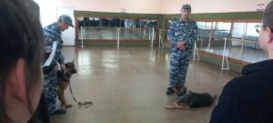 Выступление кинологов
