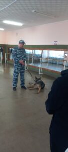 Выступление кинологов